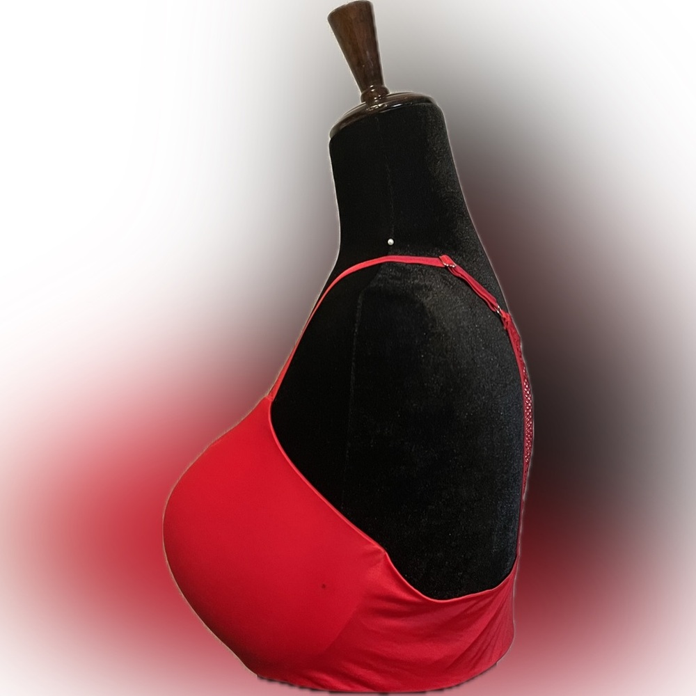 Victoria’s Secret So Obsessed Push- Up Red Lipstick Fish Net Bra size 36DD - Picture 4 of 10